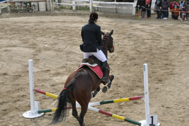 乗馬クラブFRTの写真1