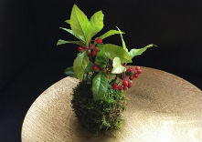 ラブジャパンブランドの写真1