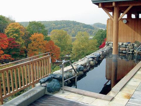 天然温泉 森のゆの写真1