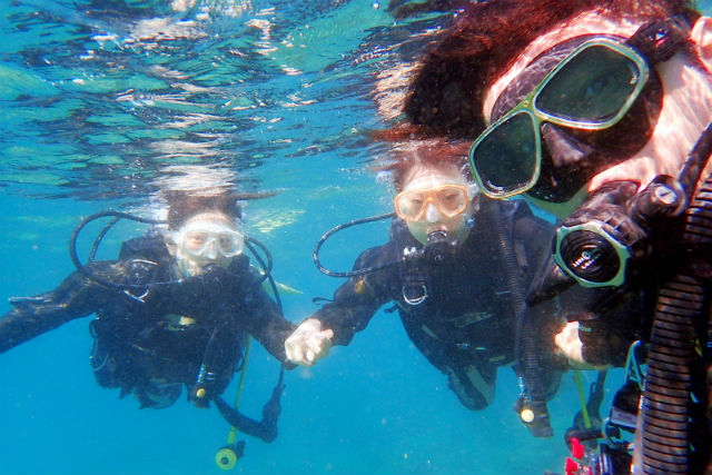 ミスオーシャンダイビングサービスの写真1