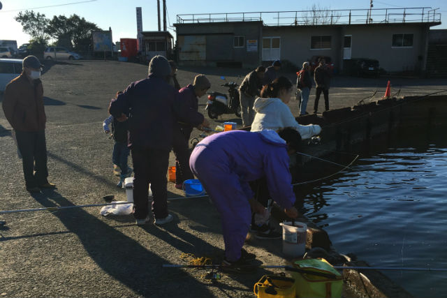 和歌山市観光案内所の写真1