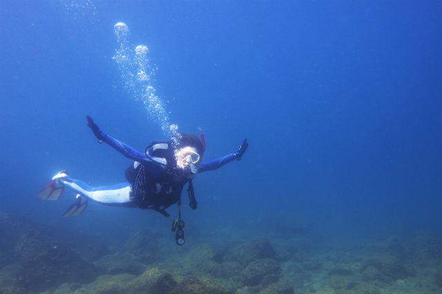 シーガーデン ダイビングスクールの写真1