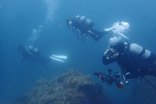 田辺ダイビングサービスの写真1