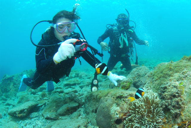 串本ダイビングパークの写真1