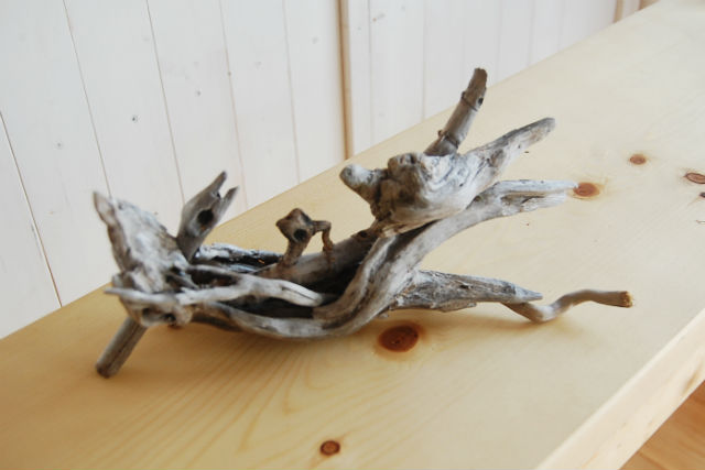 アトリエビアンコの写真1