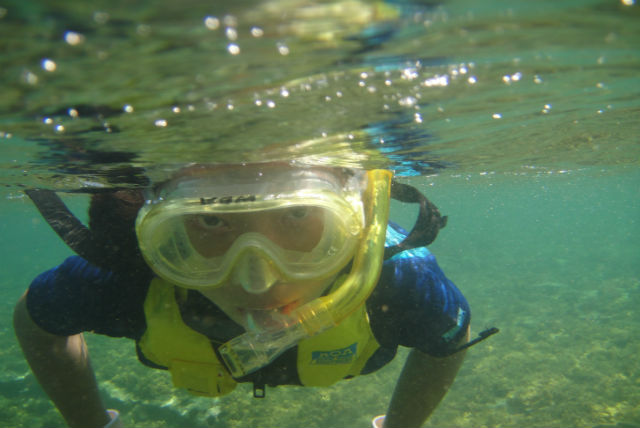 ダイビングスクール&ショップ スタードルフィンズの写真1