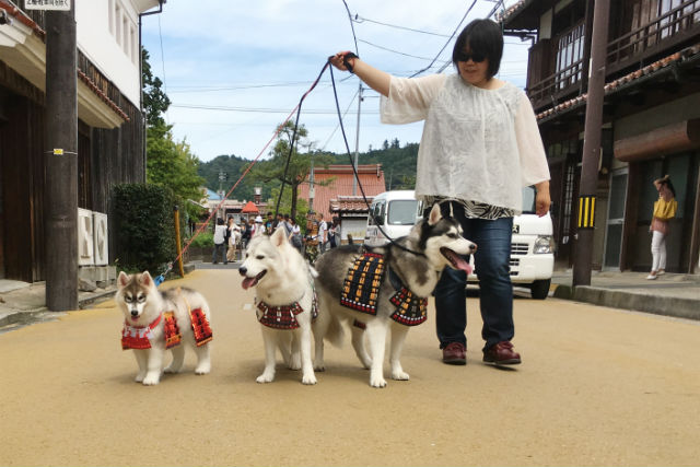 ペットのおみやげ かんだや、の写真1