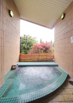 川口温泉 奥羽山荘の写真1