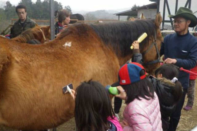 琵琶湖忍者国際ホーススクールの写真1