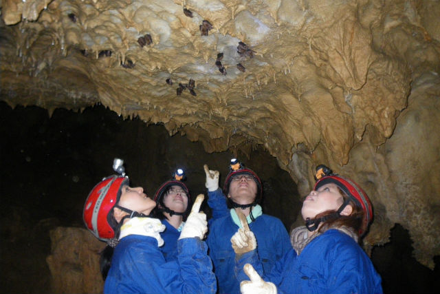 アウトドア天国の写真1