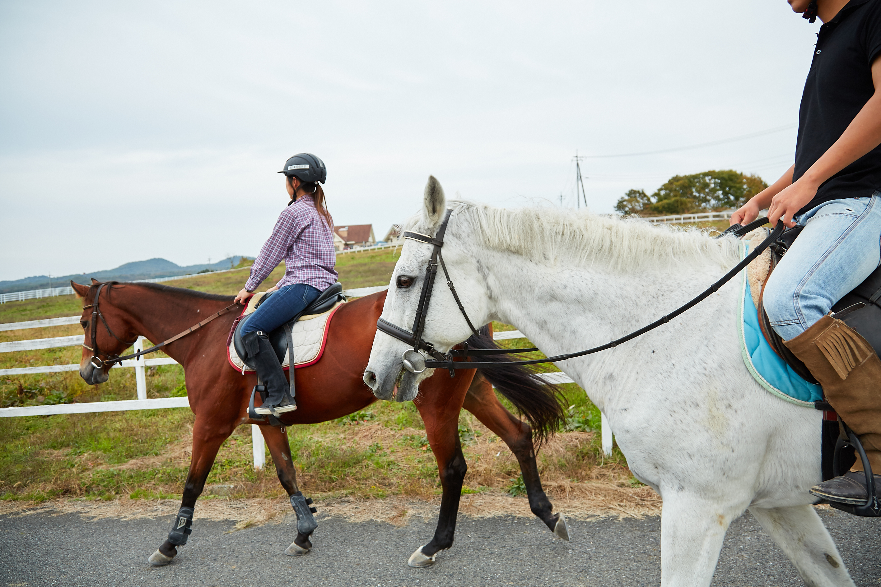岡山乗馬倶楽部の写真1