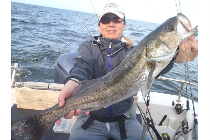 プレアデスの写真1