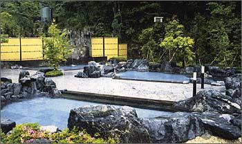 森林の温泉の写真1