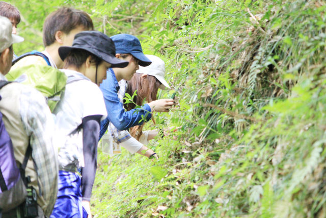 安芸太田町商工観光課の写真1