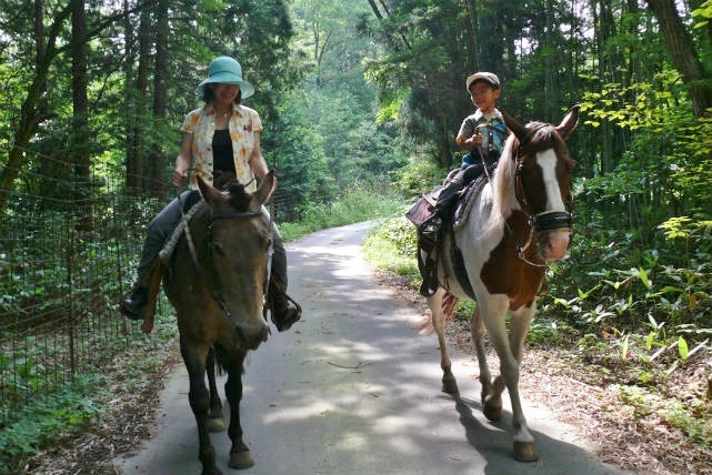 エオの谷・north sigelの写真1