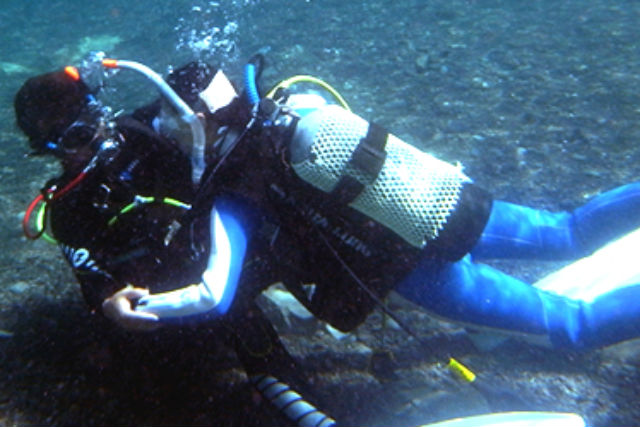 青海島ダイビングセンターの写真1