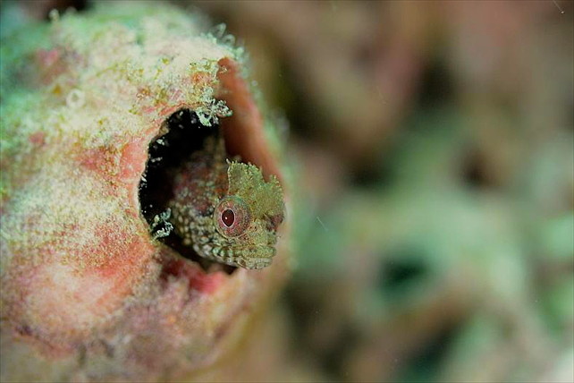 ブルーワールドの写真1