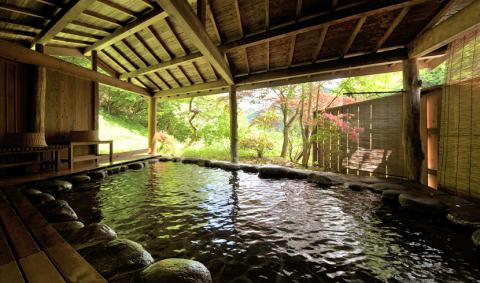 鹿覗キセキノ湯 つるやの写真1