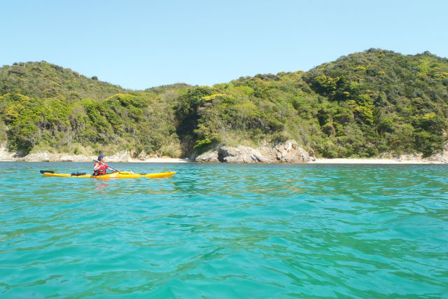 ダイドックオーシャンカヤックスの写真1