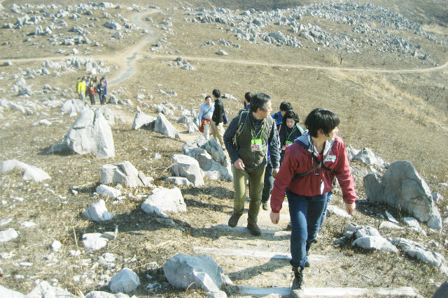 Mine秋吉台ジオパークの写真1