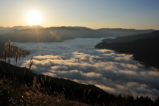 そらの郷の写真1