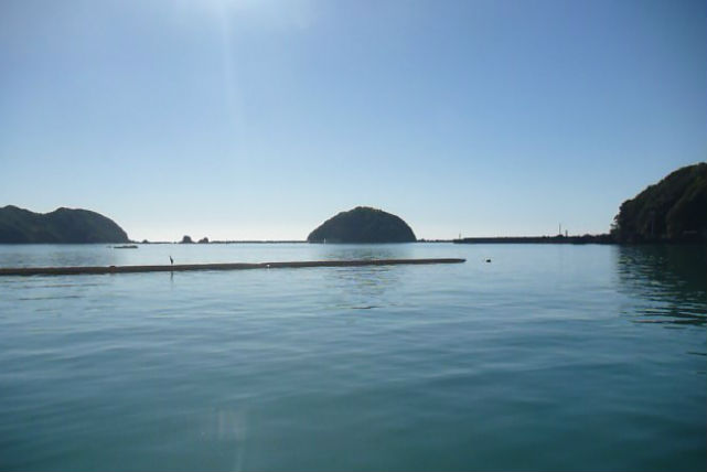 カアナパリの写真1