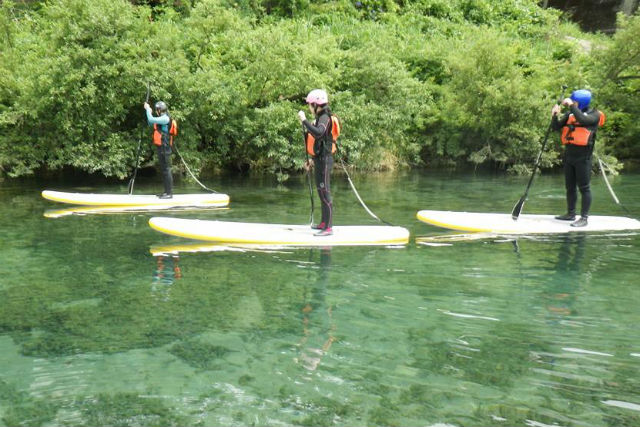 スッゴイスポーツ高知の写真1