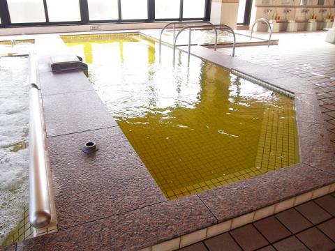 天然温泉ふるさとの湯の写真1