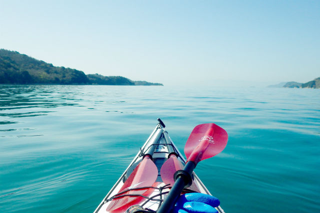 上島町観光協会の写真1