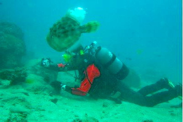 DIVER SHOTの写真1