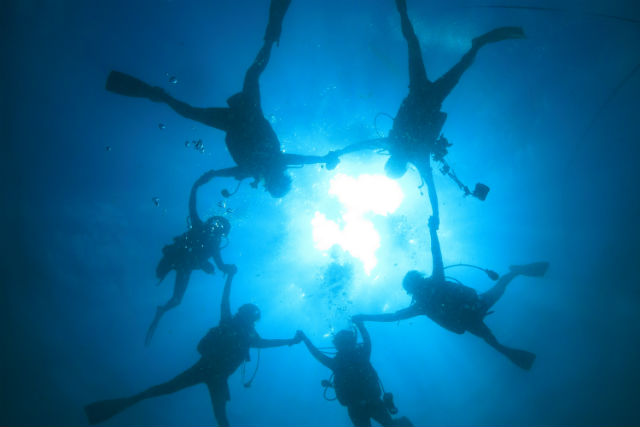 リトルブルーダイビング愛媛の写真1