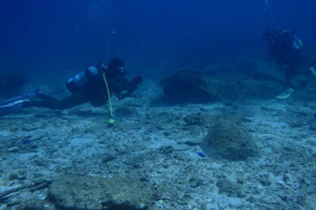 シーエアー柏島の写真1