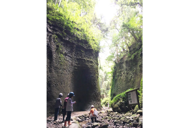 安芸観光情報センターの写真1