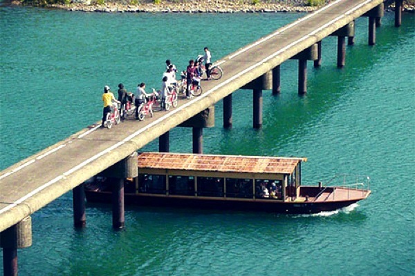 四万十の碧の写真1