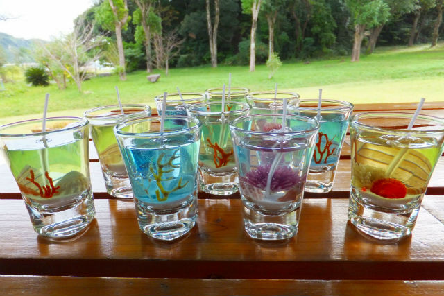 竜串観光振興会 海のギャラリーの写真1