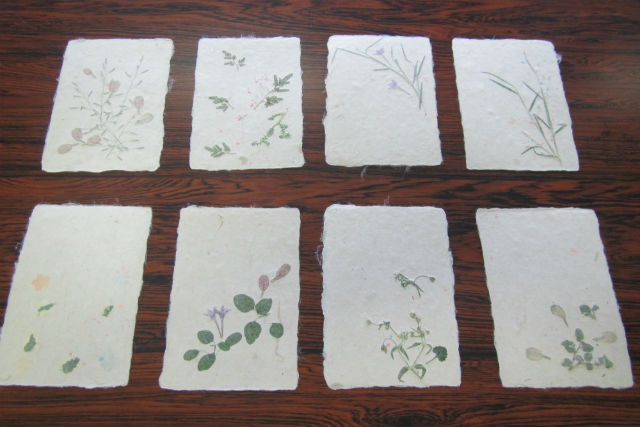 土佐和紙工芸村内実習館の写真1