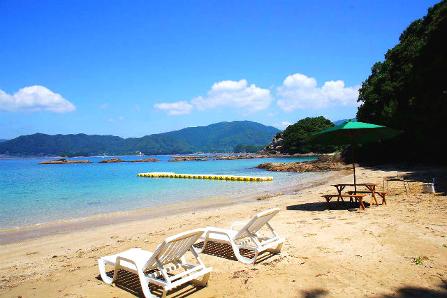 マリンクラブジョイの写真1