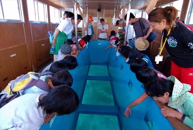 竜串観光汽船の写真1