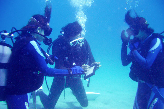 柏島ダイビングサービス パラディの写真1