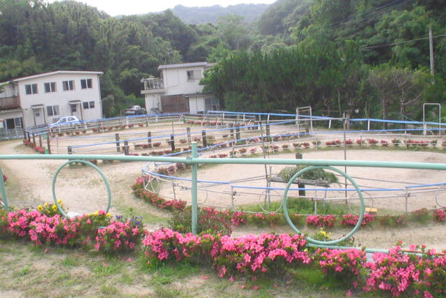 KRC乗馬センターの写真1