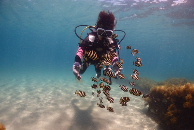 ハイタイドスクーバの写真1