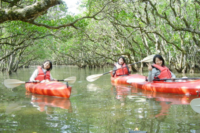 マングローブ茶屋の写真1