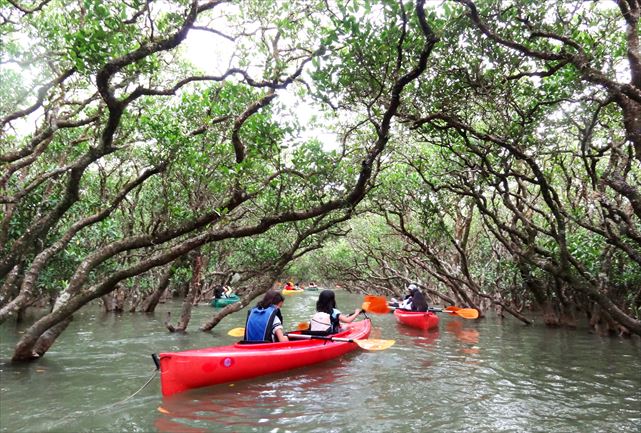 アイランドサービスの写真1