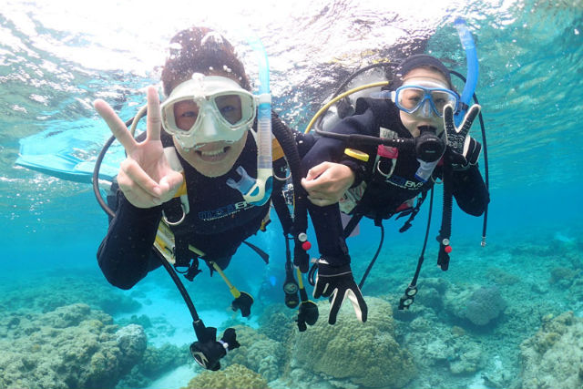 ダイビングショップネバーランドの写真1