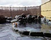 八尾ゆめの森 ゆうゆう館の写真1