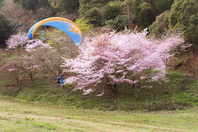 長崎フリーフライトパラグライダースクールの写真1