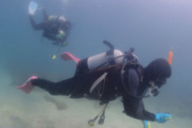 ダイブショップ スマイラーズの写真1