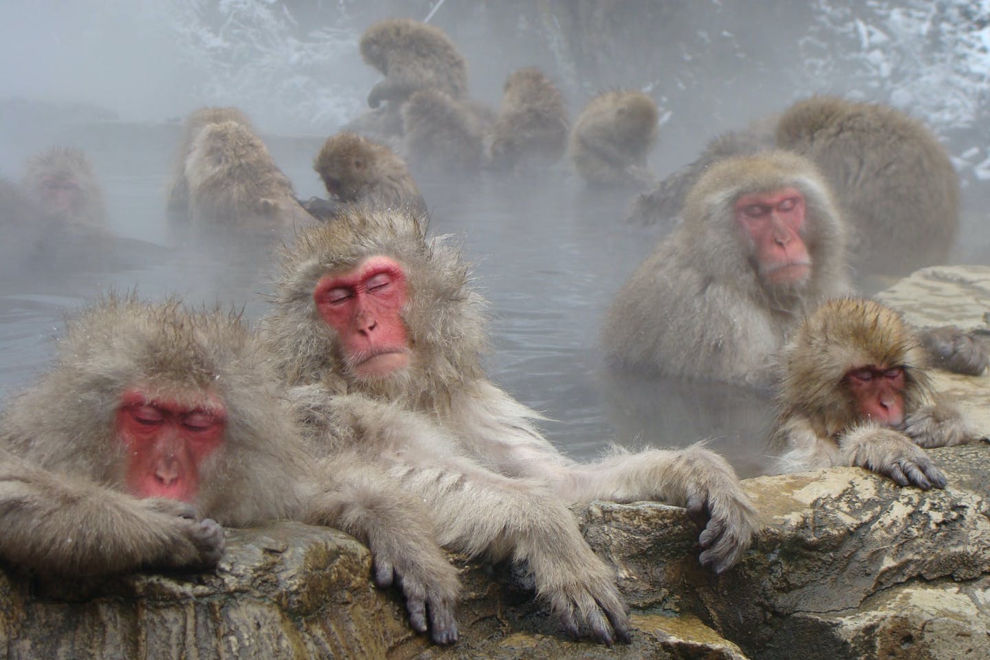 アルピコタクシー株式会社