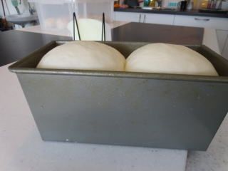 パンスクール ぷらんた〜る