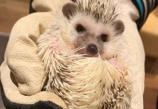 HARRY(横浜中華街店)